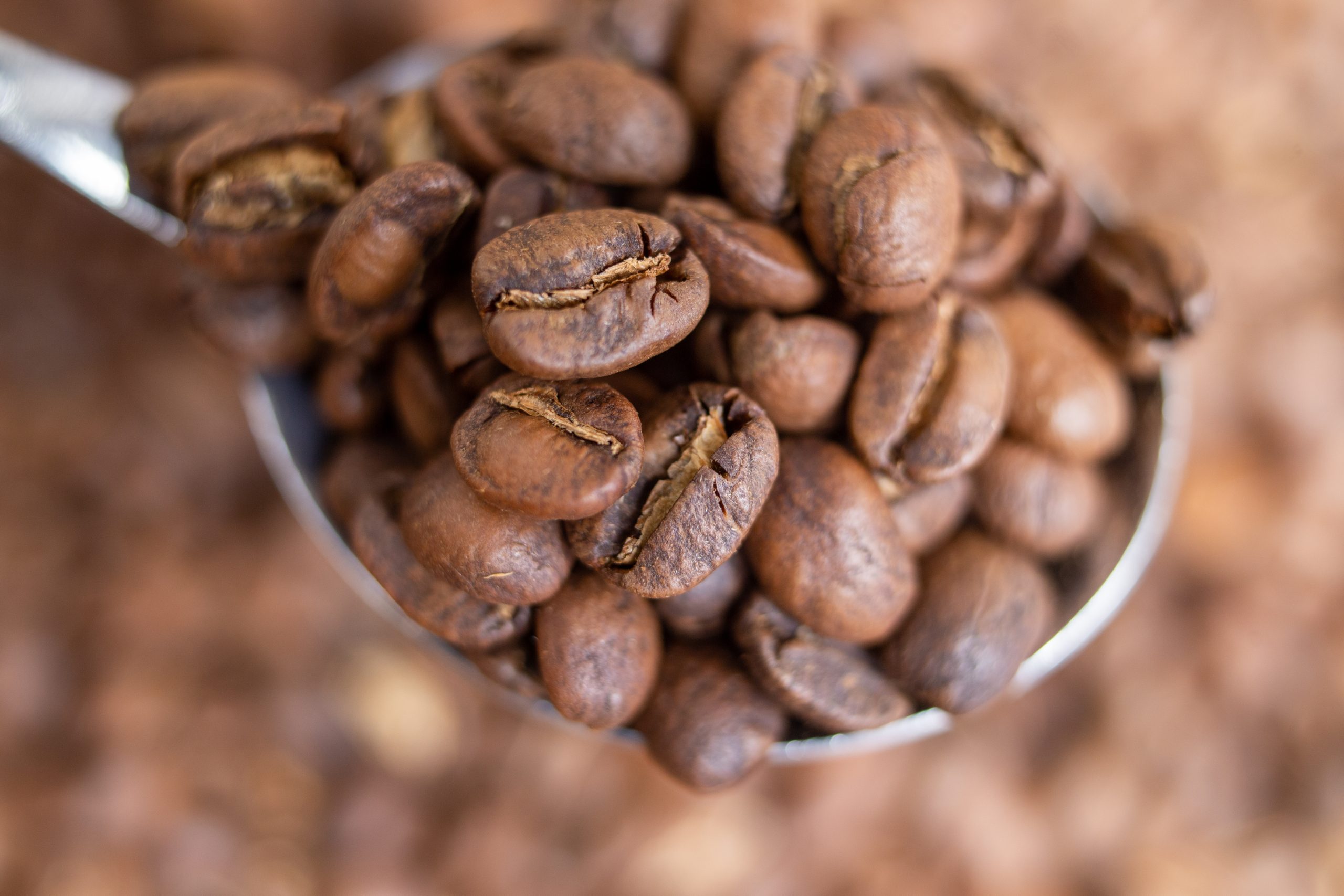 A metal scoop heaped with roasted coffee beans seen up close
