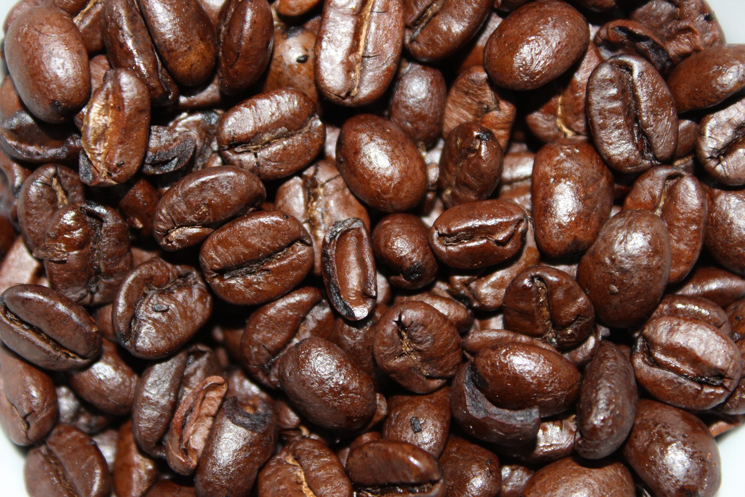 A close view of glossy medium-dark roasted coffee beans