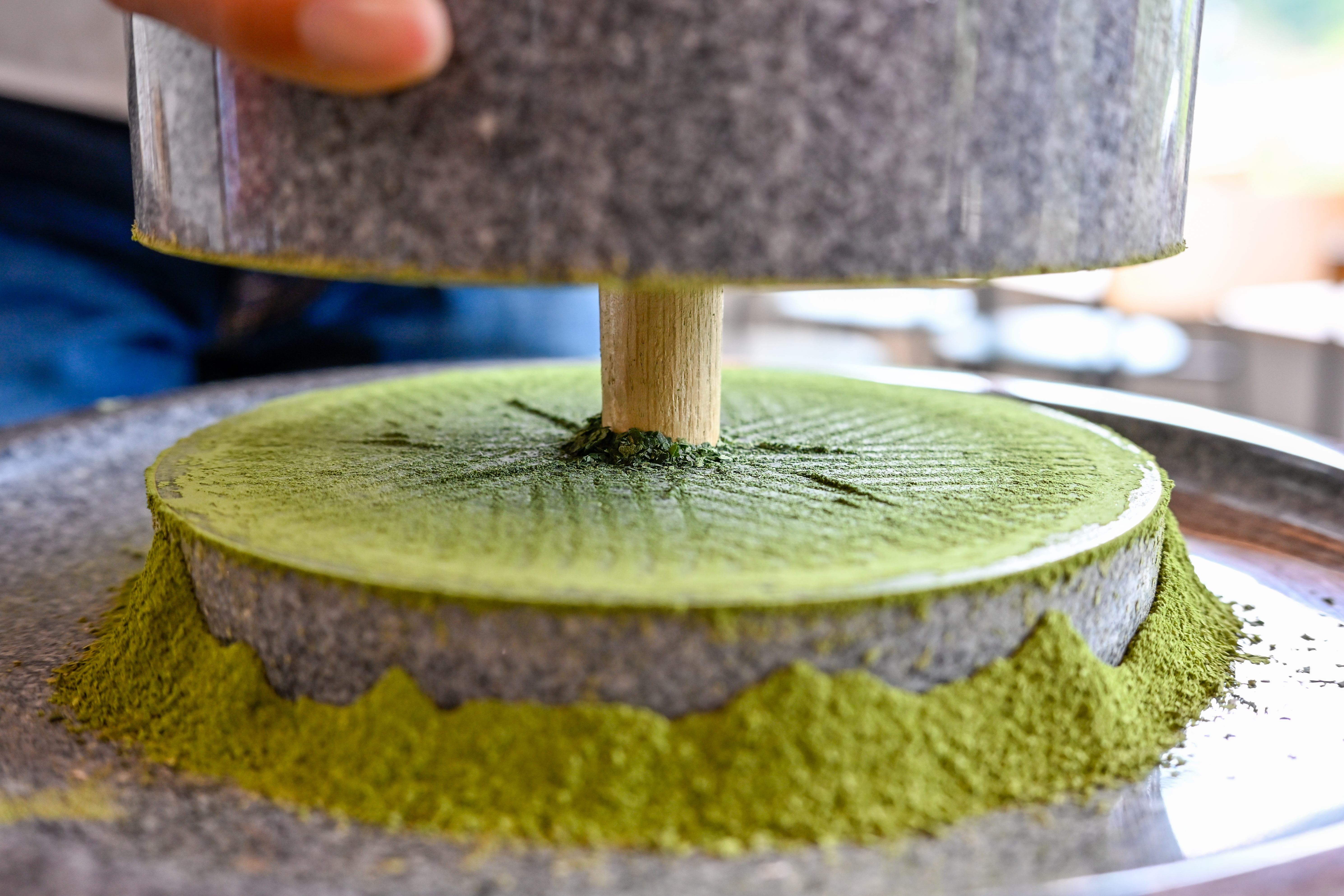 A granite stone mill grinding dried tea leaves into fine green matcha powder