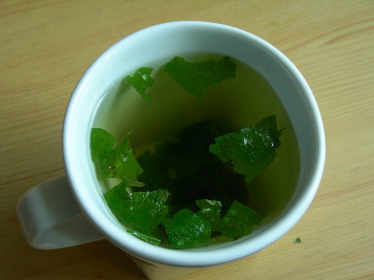 Herbal Tea: Myths and Facts